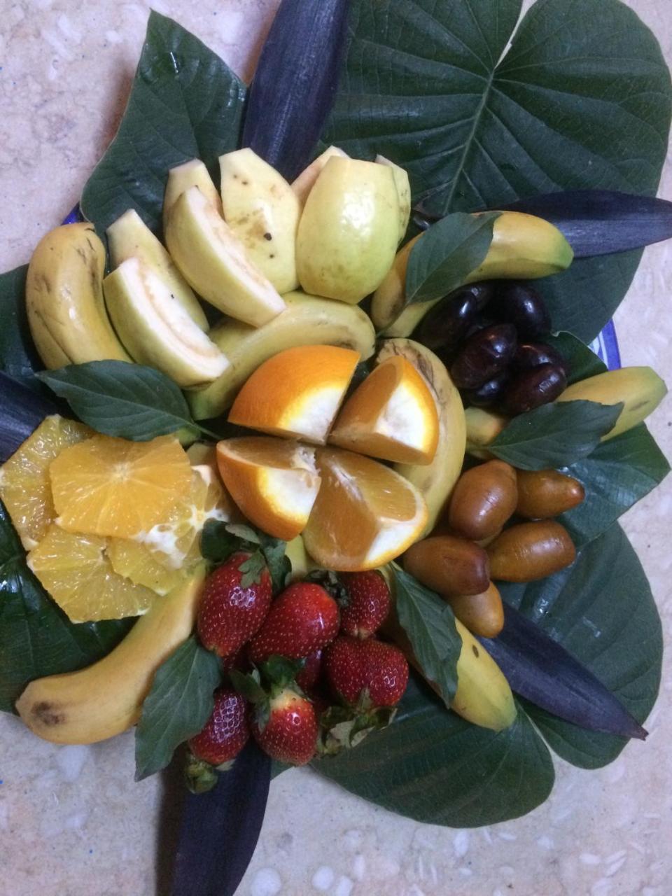 Sunflower Guest House Luxor West Bank מראה חיצוני תמונה