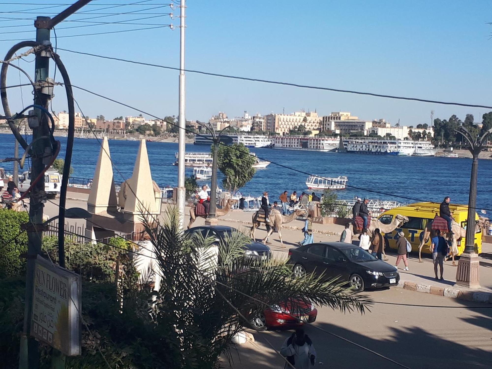 Sunflower Guest House Luxor West Bank מראה חיצוני תמונה