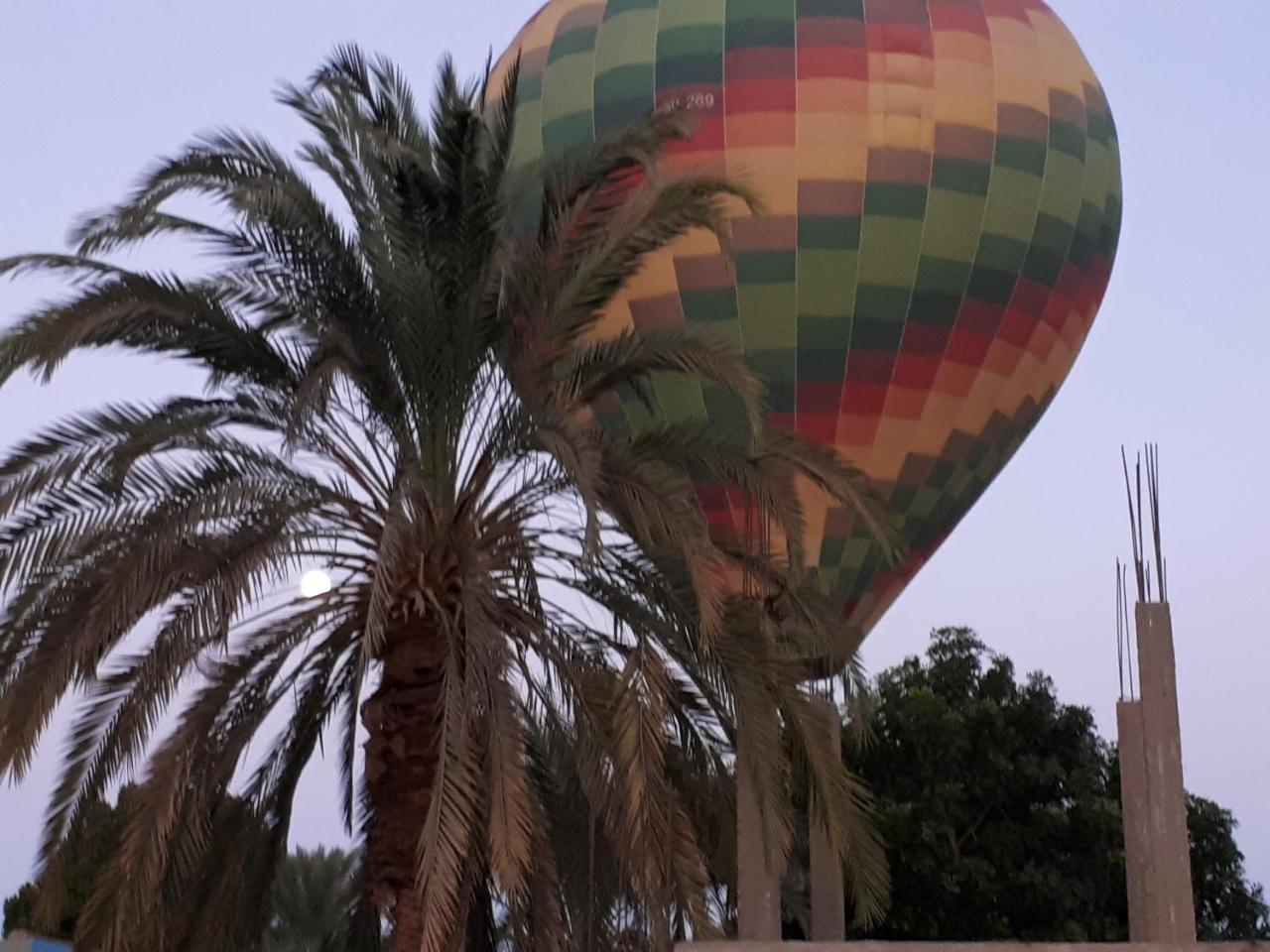 Sunflower Guest House Luxor West Bank מראה חיצוני תמונה