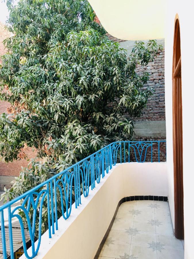 Sunflower Guest House Luxor West Bank מראה חיצוני תמונה